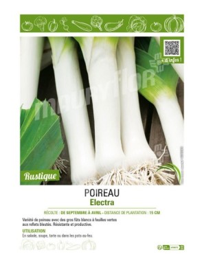 POIREAU ELECTRA