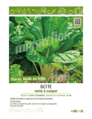 POIRÉE VERTE À COUPER