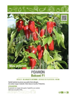 POIVRON BALCONI F1