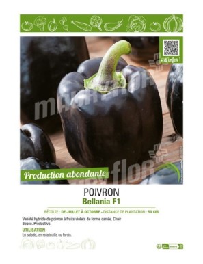 POIVRON BELLANIA F1