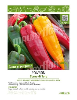 POIVRON CORNO DI TORO (JAUNE ET ROUGE)