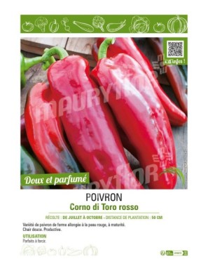 POIVRON CORNO DI TORO ROSSO (ROUGE)