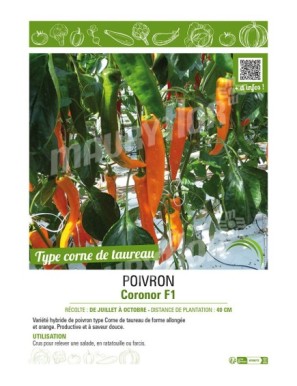 POIVRON CORONOR F1
