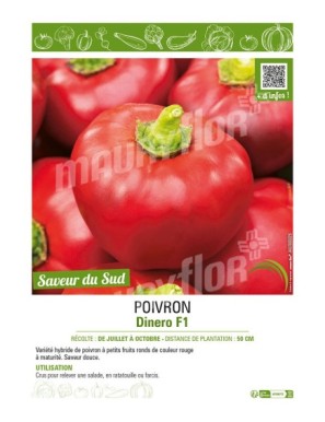 POIVRON DINERO F1