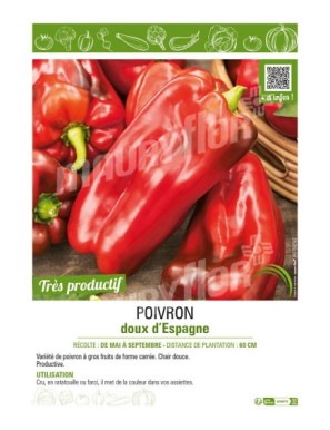 POIVRON DOUX D'ESPAGNE