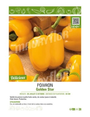 POIVRON GOLDEN STAR (JAUNE)