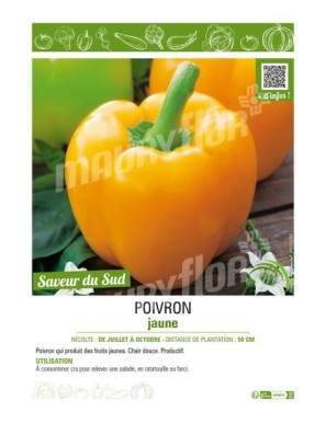 POIVRON JAUNE