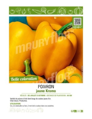 POIVRON JAUNE KROMO