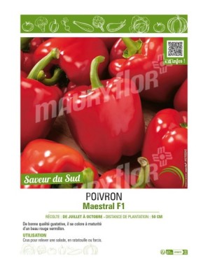 POIVRON MAESTRAL F1