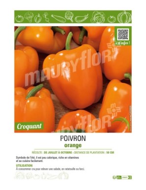 POIVRON ORANGE