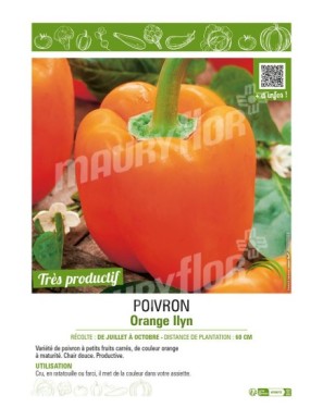POIVRON ORANGE ILYN