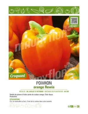POIVRON ORANGE REWIA