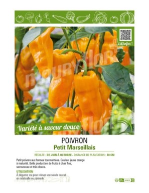 POIVRON PETIT MARSEILLAIS