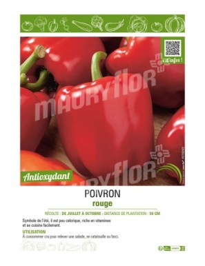 POIVRON ROUGE