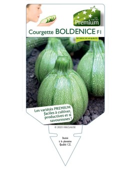 COURGETTE BOLDENICE F1