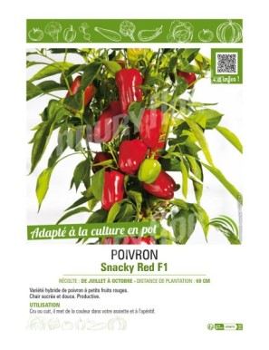 POIVRON SNACKY RED F1