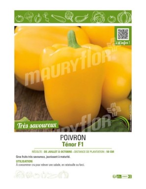 POIVRON TÉNOR F1