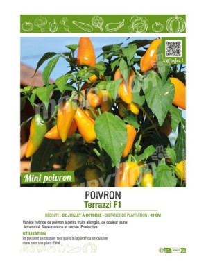 POIVRON TERRAZZI F1