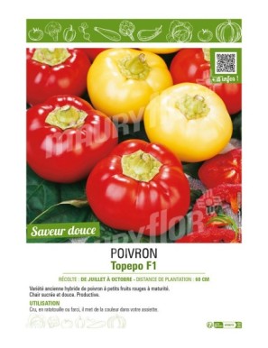 POIVRON TOPEPO F1 (ROND)