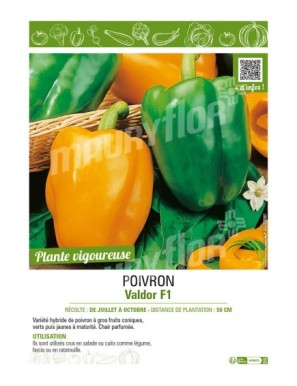 POIVRON VALDOR F1