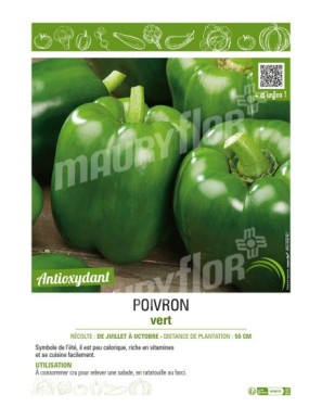 POIVRON VERT