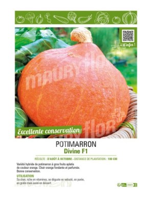 POTIMARRON DIVINE F1
