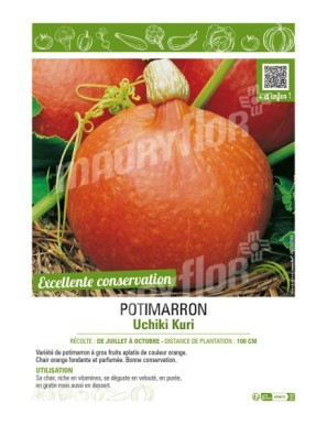 POTIMARRON UCHIKI KURI