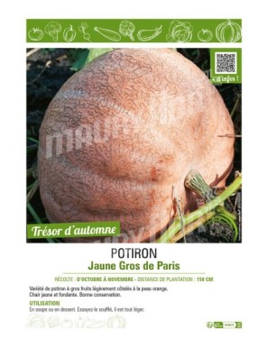 POTIRON JAUNE GROS DE PARIS