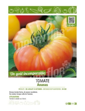 TOMATE ANANAS