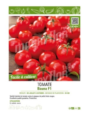 TOMATE BAUNA F1