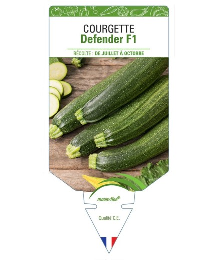 COURGETTE DEFENDER F1