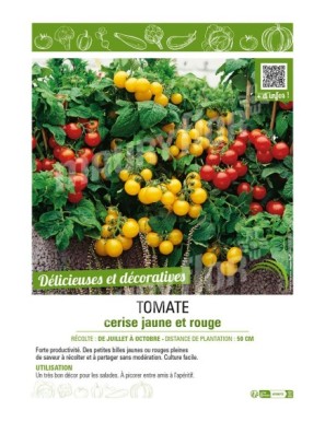 TOMATE CERISE JAUNE ET ROUGE