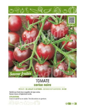 TOMATE CERISE NOIRE