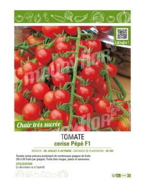 TOMATE CERISE PEPE F1