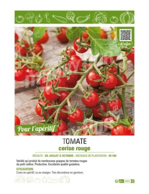TOMATE CERISE ROUGE