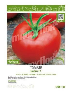 TOMATE COBRA F1