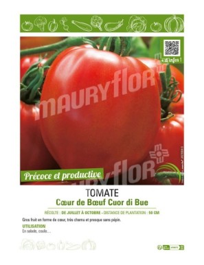 TOMATE CŒUR DE BŒUF CUOR DI BUE