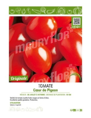 TOMATE CŒUR DE PIGEON