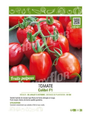 TOMATE COLIBRI F1