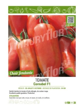 TOMATE CORNABEL F1