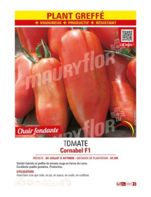 TOMATE CORNABEL F1 plant greffé