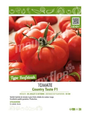 TOMATE COUNTRY TASTE F1