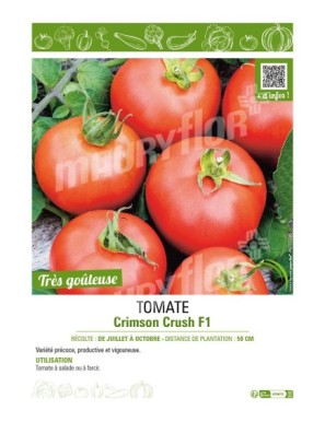 TOMATE CRIMSON CRUSH F1