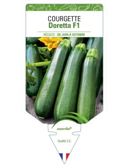 COURGETTE DORETTA F1