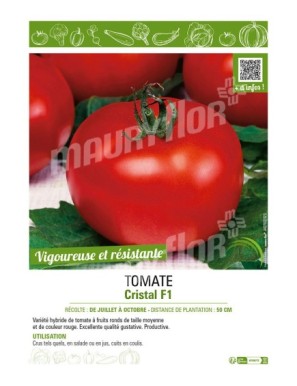 TOMATE CRISTAL F1