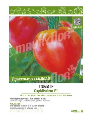 TOMATE CUPIDISSIMO F1