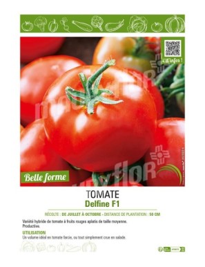 TOMATE DELFINE F1