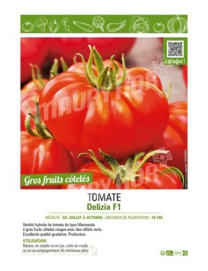 TOMATE DELIZIA F1