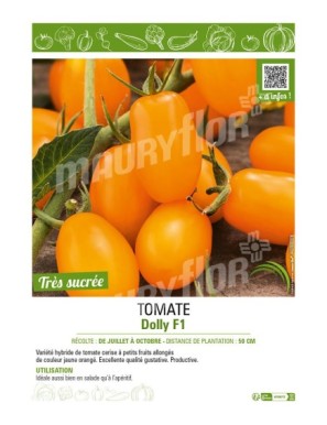 TOMATE DOLLY F1