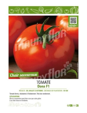 TOMATE DONA F1